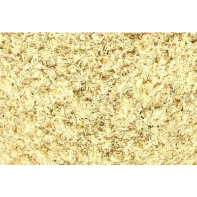 Zelené Drahokamy Psyllium bílé jitrocel osemení 100 g – Hledejceny.cz