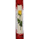 Forbyt Dárkové balení Froté ručníku Růže oranžová 50 x 90 cm – Sleviste.cz