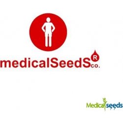 Medical Seeds Co. Canadian Kush 2.0 semena neobsahují THC 5 ks