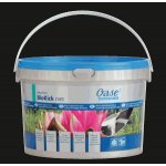 Oase AquaActiv BioKick CWS 2 l – Zboží Dáma