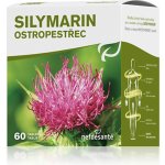 nefdesanté Silymarin 60 tablet – Hledejceny.cz
