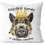 Impar Polštář Největší kanec 40x40 – Sleviste.cz