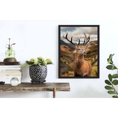 Divio Plakát, vzor 61344 Velikost: 70x100 cm, Rám: žádný rám – Hledejceny.cz