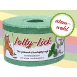 S.I.N. Hellas Lízátko pro koně Lolly Lick Máta a eukalyptus 0,75 kg – Zboží Mobilmania