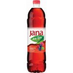 Jana ledový čaj lesní ovoce 0,5 l – Zboží Dáma