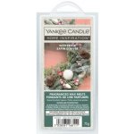 Yankee Candle vonný vosk Winter Fir Wax Melts 75 g – Hledejceny.cz