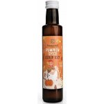 Sonnentor Pumpkin spice sirup bio 250 ml – Zboží Dáma