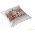 Veba GEON tisk Město Hradec Králové náměstí 40 x 40 cm – Sleviste.cz