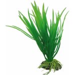 Hobby Cyperus 16 cm – Sleviste.cz