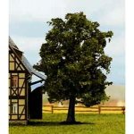 Noch habr obecný 21690 – Hledejceny.cz