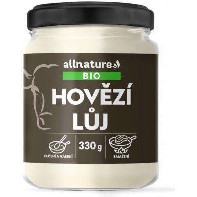 Allnature Kombucha zázvor BIO 330 ml – Zbozi.Blesk.cz