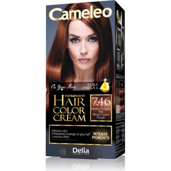 Delia Cameleo barva na vlasy 9.0 přírodní blond