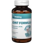 Vitaking Joint Formula Glucosamine + Chondroitin + MSM 60 tablet – Hledejceny.cz