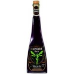 Hill's Euphoria Absinth Black 70% 0,5 l (holá láhev) – Zboží Dáma