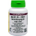Pragon MAX1.9-2559 beixie fenging yin 36 tablet – Hledejceny.cz