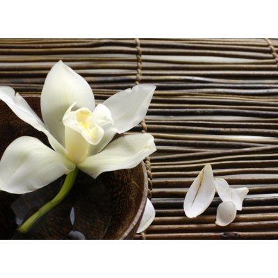 WEBLUX 28682309 Fototapeta plátno bowl of orchid miska orchideje okvětní lístek na bambusové rohoži rozměry 160 x 116 cm – Zbozi.Blesk.cz