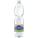 Hanácká Kyselka Zahradní směs jemně perlivá 1500 ml