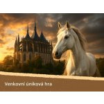 Přízrak z kláštera: Venkovní úniková hra – Hledejceny.cz