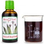 Bylinné kapky BIO Jitrocel tinktura 50 ml – Hledejceny.cz