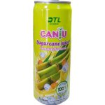 Foco Šťáva z cukrové třtiny 320 ml – Sleviste.cz