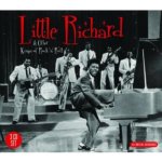 LIttle Richard & Other Kings of Rock 'N' Roll CD – Hledejceny.cz
