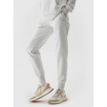 4F teplákové kalhoty 4FWSS24TTROF606 šedá Regular fit – Zboží Dáma