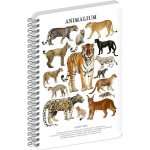 Animalium Spirálový blok Kočkovité šelmy čtverečkovaný A5 – Zboží Živě
