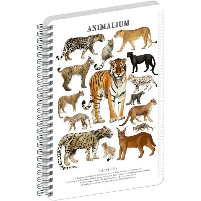 Animalium Spirálový blok Kočkovité šelmy čtverečkovaný A5 – Zboží Živě