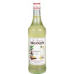 Monin Ginger 1 l – Zboží Mobilmania