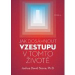 Jak dosáhnout vzestupu v tomto životě - Stein, Joshua David – Zbozi.Blesk.cz