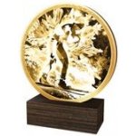 Poháry Bauer Dřevěná plaketa TFRW762 Běžky – Sleviste.cz