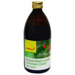 Wolfberry goji šťáva 100% 0,5 l – Hledejceny.cz