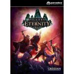 Pillars of Eternity (Definitive Edition) – Zboží Dáma