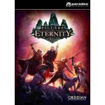 Pillars of Eternity (Definitive Edition) – Hledejceny.cz