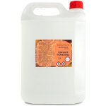 Ecoliquid Antiviral dezinfekce na ruce sprej červený pomeranč 5 l – Zboží Mobilmania