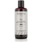 Salerm Cosmetics Salerm Homme šampón na šedivé vlasy pro muže 250 ml – Hledejceny.cz