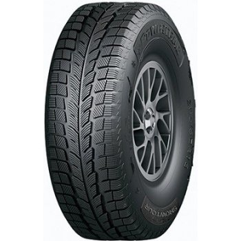 Powertrac Snowtour 205/55 R16 91H