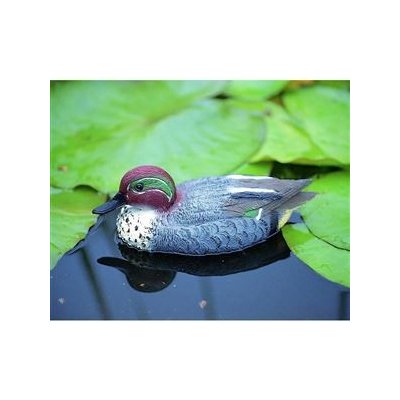 Ubbink Kačer Teal – Zboží Dáma