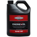 Briggs & Stratton SAE 30 5 l – Sleviste.cz