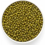Les Fruits du Paradis Fazole mungo Bio 1 kg – Zbozi.Blesk.cz