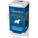 Univit Roboran Chondro 6 60 tbl – Hledejceny.cz