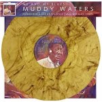 Me & My Blues - Muddy Waters LP – Hledejceny.cz