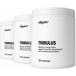 Vilgain Tribulus 360 kapslí – Zbozi.Blesk.cz