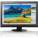 Eizo CS240