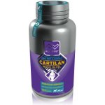 Altervet Cartilan Nutri K2+D3 100 tbl – Hledejceny.cz