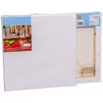 Plátno malířské na rámu 30x30cm – Hledejceny.cz