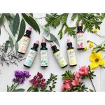 Bachovy esence Směs Dobrou noc a klidné sny 20 ml – Hledejceny.cz