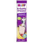 HiPP BIO Oplatka Banán-Jablko-Maliny 23 g – Zboží Dáma