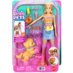 Mattel Barbie a pejsek na kolečkových bruslích JMJ44 – Hledejceny.cz