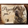 Autovýbava Sport hobby Cedulka Boerboel Pozor pes CP1174 15 x 11 cm